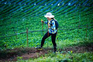 BIB: 
                            <button type="button" onclick="openModal(19160128)" class="btn btn-primary btn-sm float-right btn-popup" data-toggle="modal" data-target=".modal-high-quality">
                        <i class="fas fa-shopping-cart"></i> Add to Cart
                    </button>
                                            <button type="button" onclick="isThisMe(19160128, true)" class="btn btn-success btn-sm float-right btn-popup btn-isme hidden" data-toggle="tooltip" data-placement="bottom" title="นี่คือรูปของคุณใช่ไหม คลิกที่นี่เพื่อเอาเข้าอัลบั้ม">
                        <i class="fas fa-plus"></i> Add to album
                    </button>
                    <button type="button" onclick="isThisMe(19160128, false)" class="btn btn-warning btn-sm float-right btn-popup btn-isnotme hidden">
                        <i class="fas fa-ban"></i> Remove from album
                    </button>